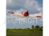 T-28 Trojan 1.2m AS3X BNF Basic