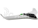 Theory Type W 0.8m Basic SAFE FPV Ready BNF
