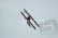 TPM06 Tiger Moth 2270mm ARF 25-35ccm