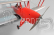 TPM06 Tiger Moth 2270mm ARF 25-35ccm