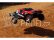 RC auto Traxxas Slash 1:10 RTR, Gunk