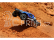RC auto Traxxas Slash 1:10 VXL 4WD OBA TQi, modrá