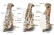 Ugears 3D dřevěné mechanické puzzle Hurdy-Gurdy