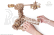 Ugears 3D dřevěné mechanické puzzle Létající stroje