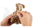 Ugears 3D dřevěné mechanické puzzle The Hot Rod Furious