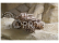 Ugears 3D dřevěné mechanické puzzle Triceratops