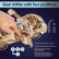 Ugears 3D dřevěné mechanické puzzle UGT-24 Endurance Racer
