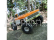 Vaterra Ford F-100 1968 Ascender 1:10 BND