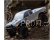 RC auto Axial SCX10 III Base Camp 4WD 1:10 RTR, šedá