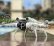 DJI MINI 3 Pro - Spider skládací podvozek