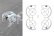 DJI NEO - Propeller Guard & Bumper