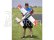 RC letadlo E-flite T-28 Trojan 1.2m Smart PNP