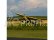 RC letadlo Hobbyzone Carbon Cub 2 1.3m SAFE RTF Basic