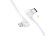 Insta360 Flow 2 Pro USB-C/ Lightning kabel