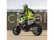 Losi Promoto-SM 1:4 RTR FXR