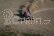 RC auto LRP S10 Twister Buggy