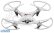 RC dron Rayline R806