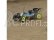 RC auto Losi 8ight Buggy 