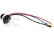 Spektrum motor střídavý 2832 1300ot/V 14P