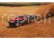 RC auto Traxxas Nitro Slash 1:10 RTR Hawaiian
