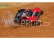 RC auto Traxxas Nitro Slayer 1:8 TQi RTR, modrá
