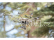 Dron Yuneec Typhoon H Plus s Intel RealSense
