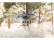 Dron Yuneec Typhoon H Plus s Intel RealSense