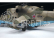 Zvezda Mil Mi-24P (1:48)