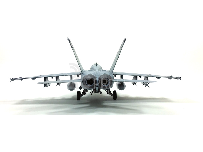 Academy Boeing F/A-18E VFA-143 USN Pukin Dogs (1:72)