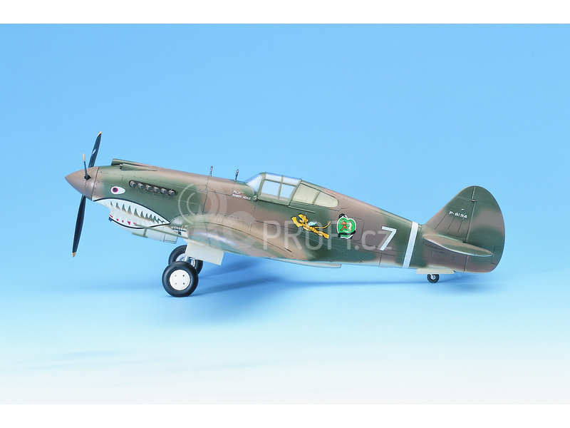 Academy Curtiss P-40C (1:48)