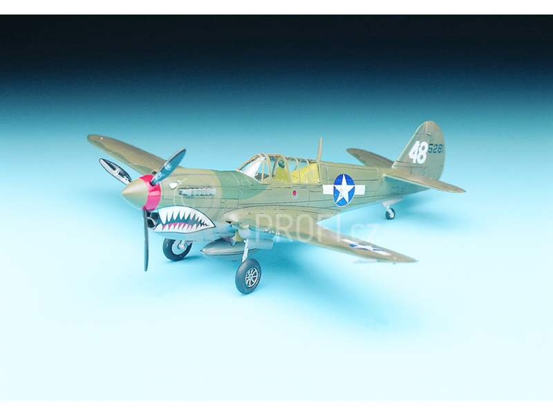 Academy Curtiss P-40M/N (1:72)