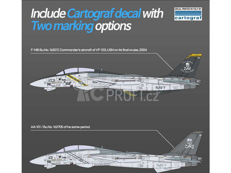 Academy Grumwan F-14B USN 