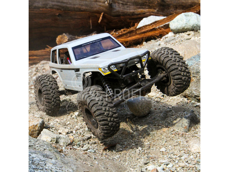 Axial Wraith Spawn 1:10 4WD RTR