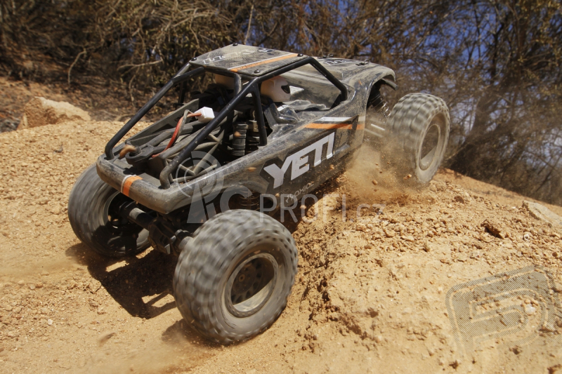RC auto Axial Yeti Jr. Trophy Truck