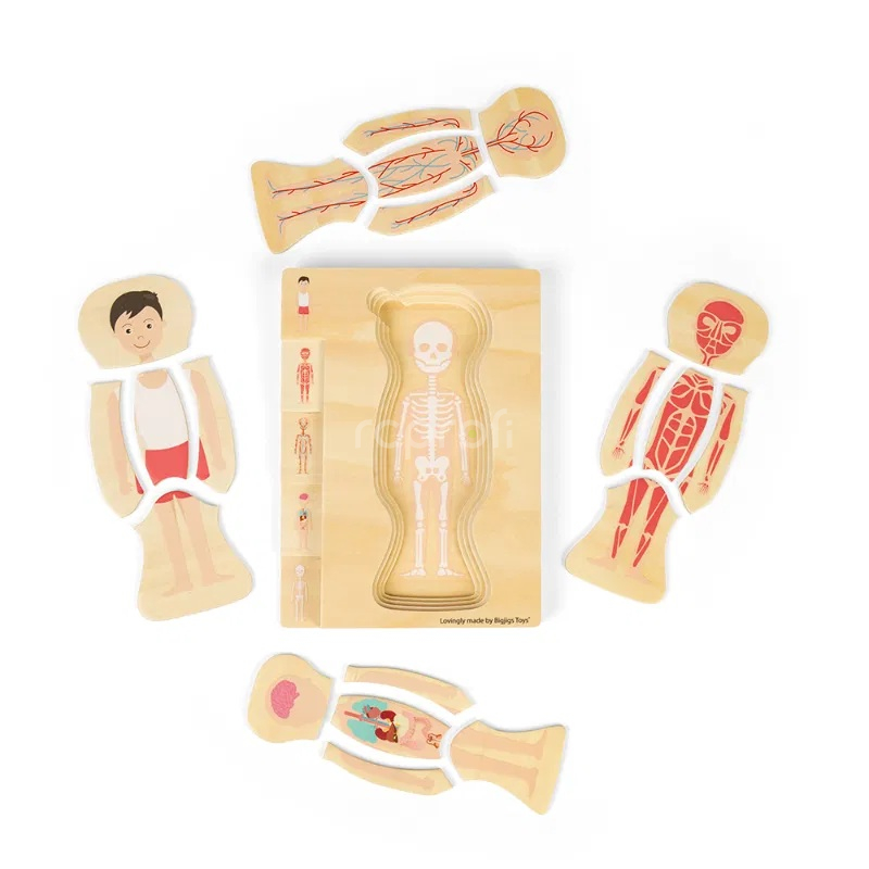 Bigjigs Toys Dřevěné puzzle Anatomie chlapec