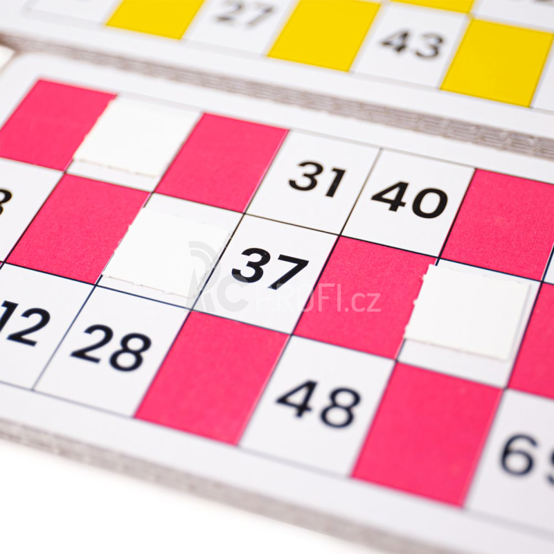 Bigjigs Toys Tradiční Bingo