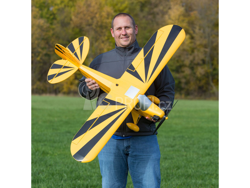 Clipped Wing Cub 1.2m SAFE Select BNF Basic