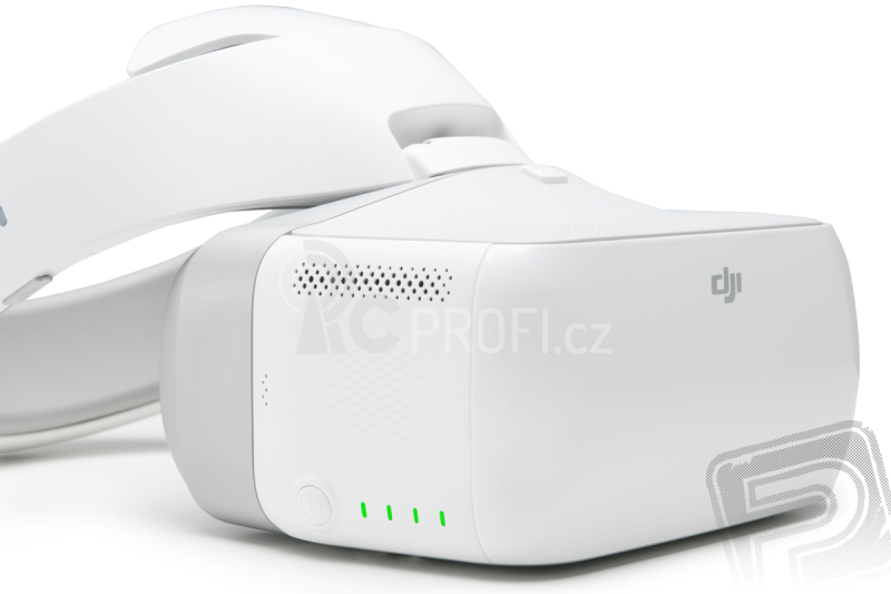 DJI Goggles