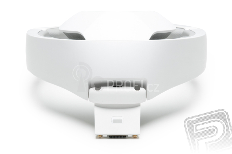 DJI Goggles