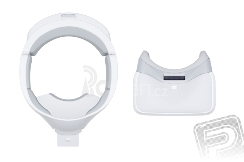 DJI Goggles