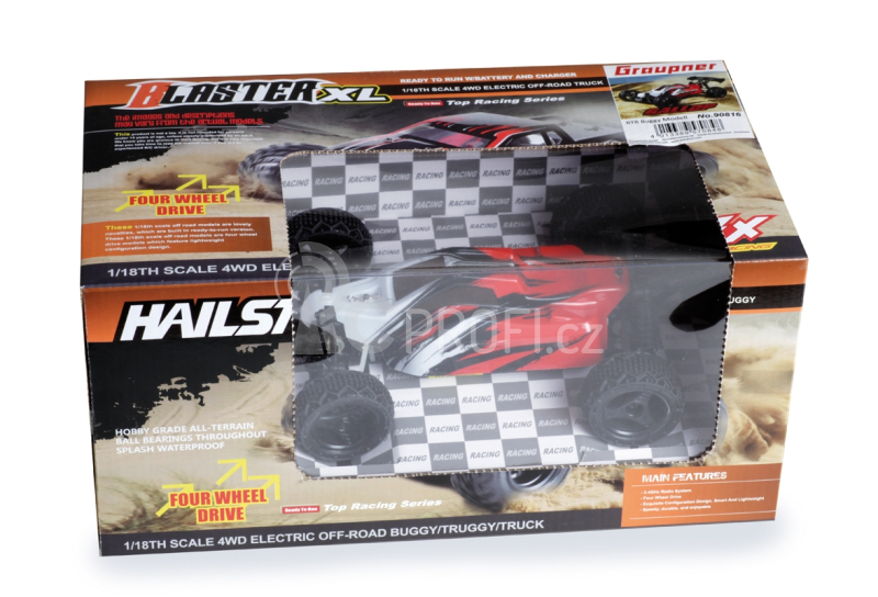 E-Buggy Gallop, 4WD, RTR