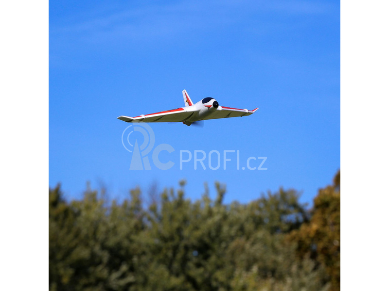 E-flite Delta Ray One 0.5m SAFE BNF Basic