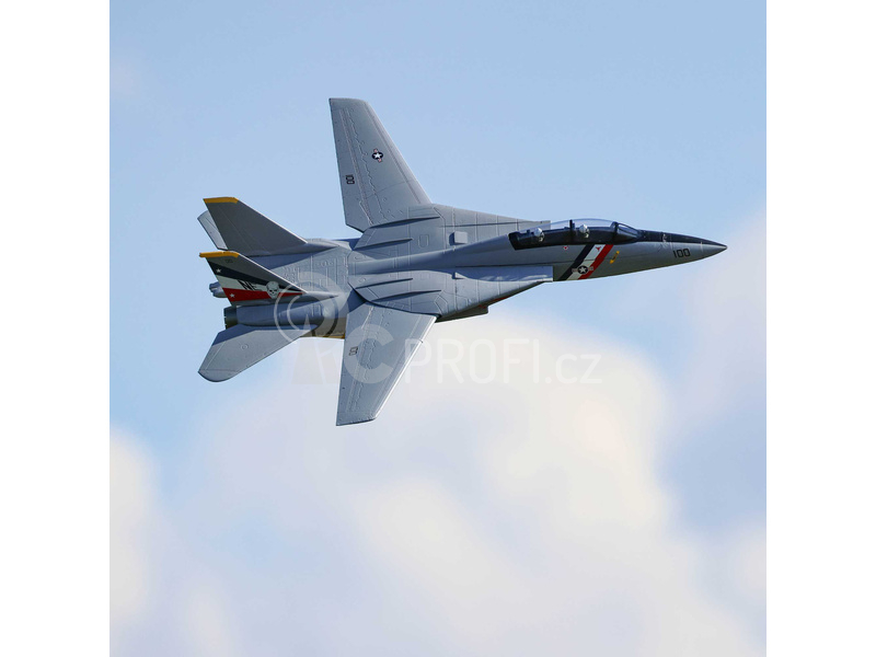 RC letadlo E-flite F-14 Tomcat 0.76m BNF Basic