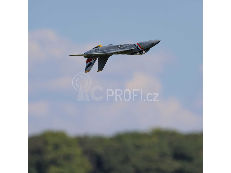 RC letadlo E-flite F-14 Tomcat 0.76m BNF Basic