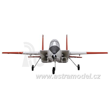E-flite F-15 Eagle 1.0m ARF