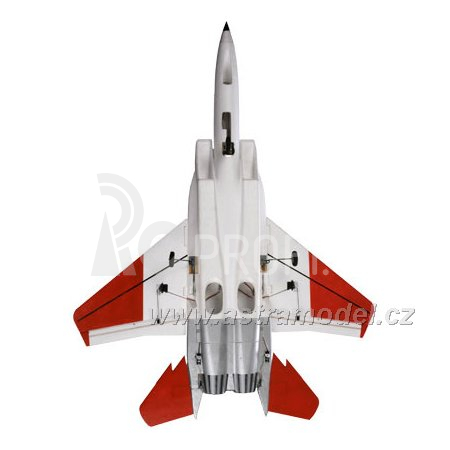 E-flite F-15 Eagle 1.0m ARF