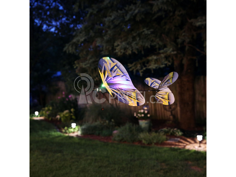 RC letadlo E-flite Night Vapor 0.38m BNF Basic