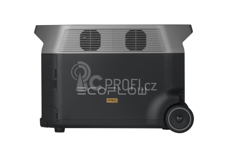 EcoFlow DELTA Pro