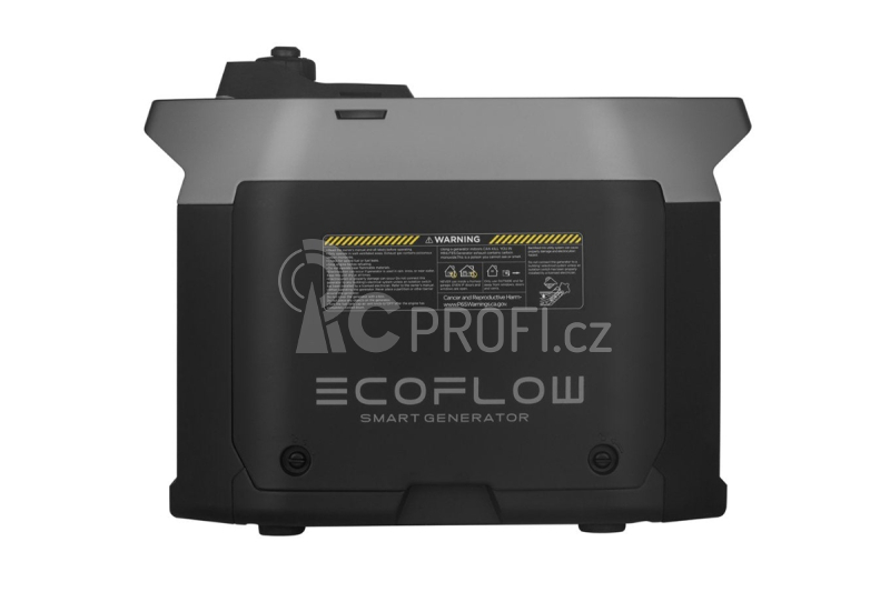 EcoFlow DELTA Pro + Smart Generator