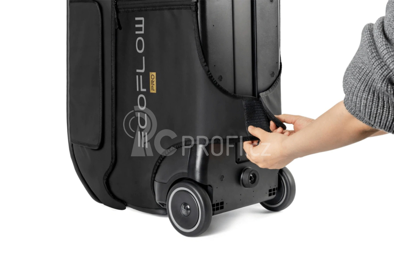 EcoFlow přepravní brašna pro DELTA Pro